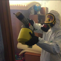 Уничтожение клопов в квартире. Елизово